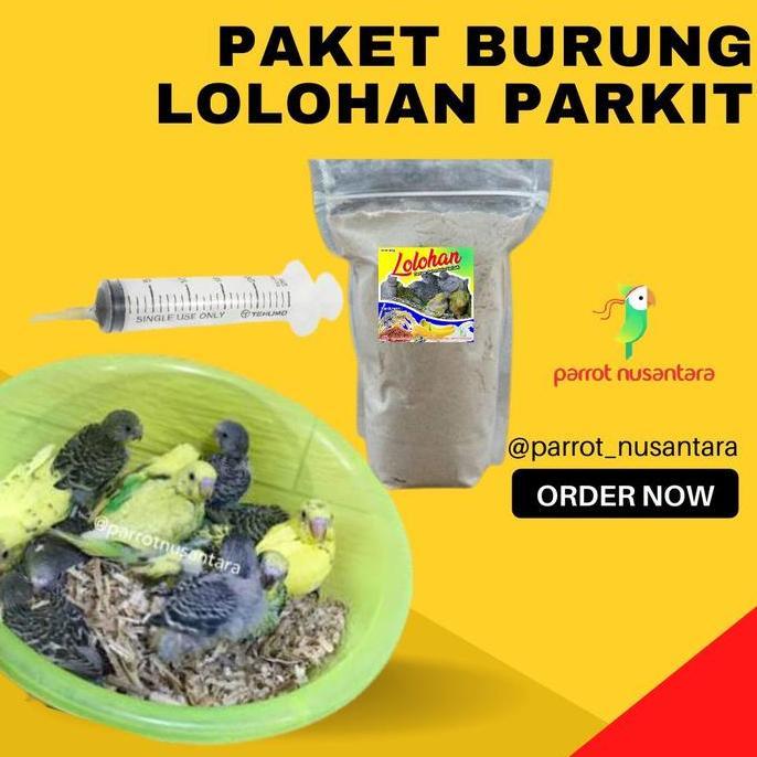 PREMIUM paket anakan parkit lolohan