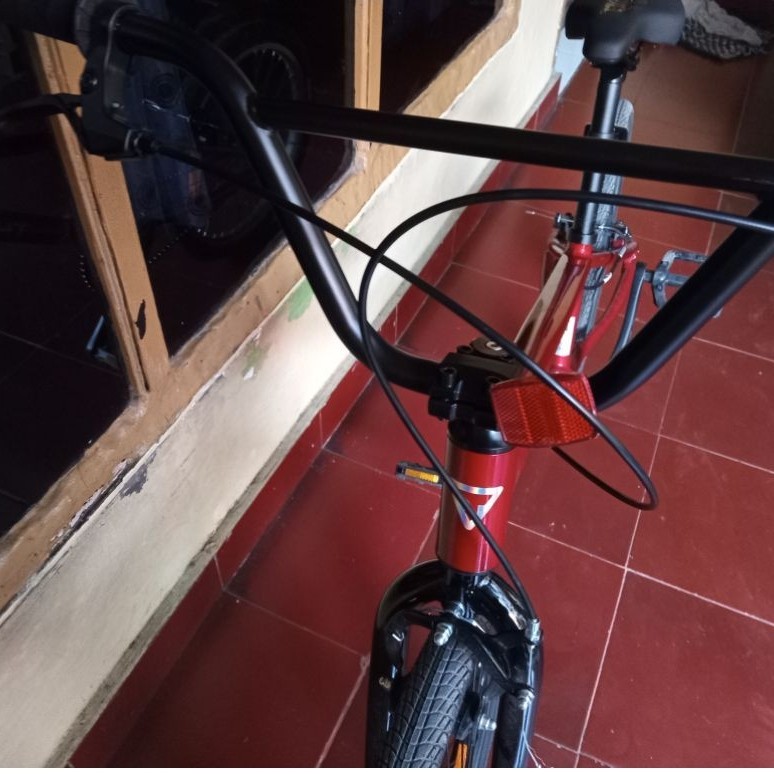 BMX Thrill Rascal VB