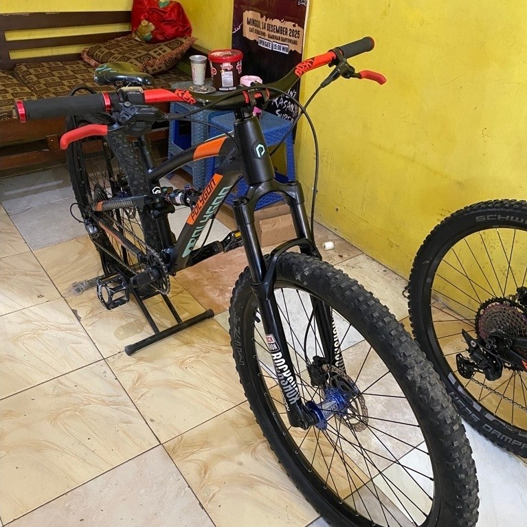 Sepeda Polygon Siskiu D8
