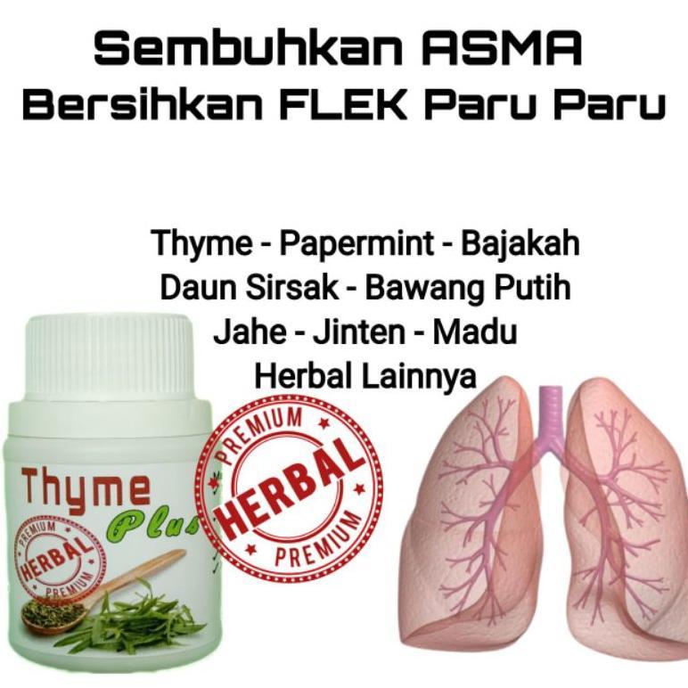 Ampuh Obat Asma Bersihkan Flek Paru Paru dan TBC 100% Original Herbal Alami Thyme Plus