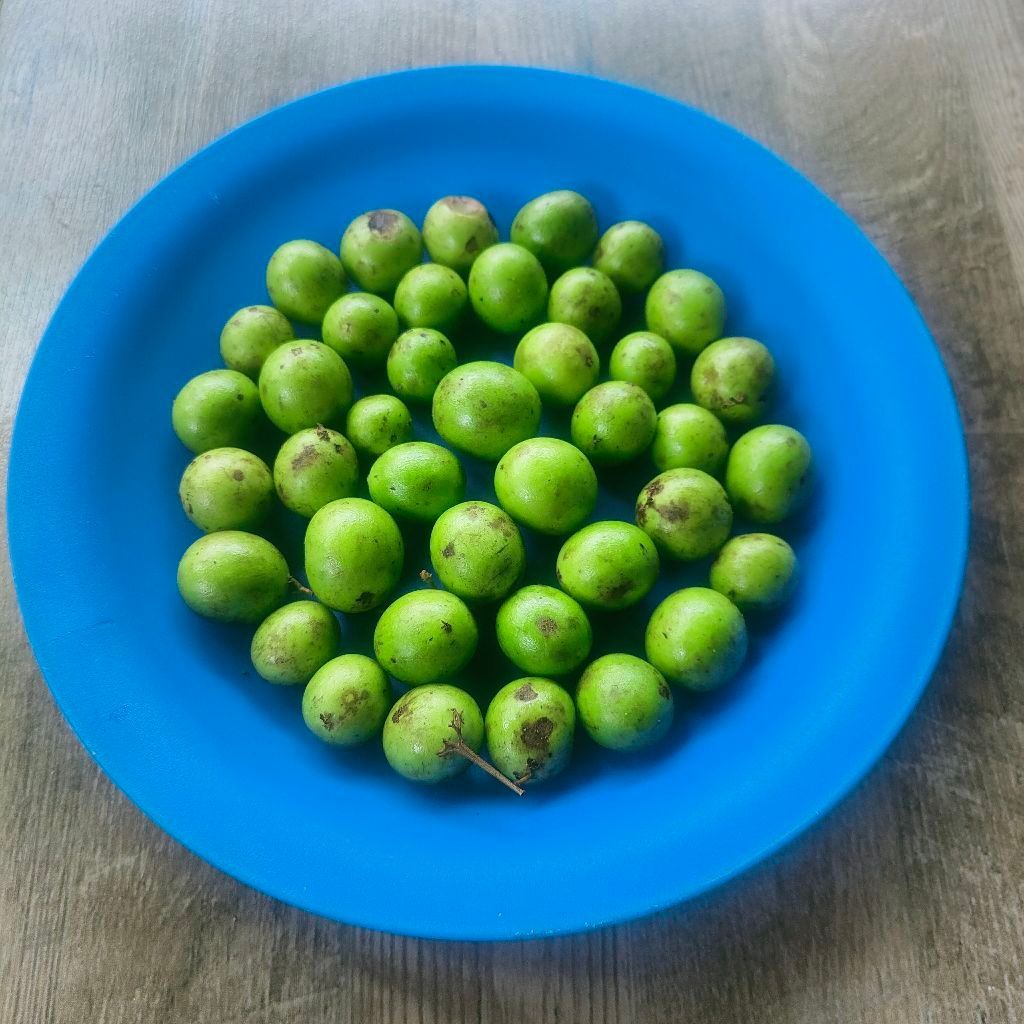 Buah Ramania mentah yami