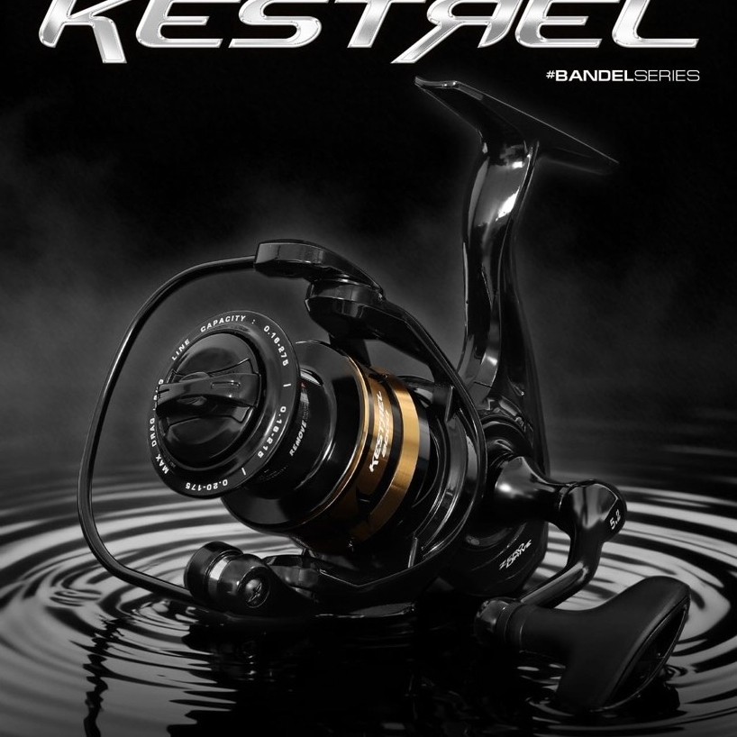 RELL DAIDO KESTREL