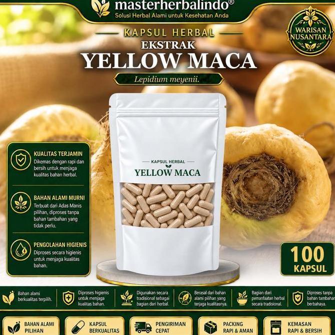 Farmasi- Kapsul Yellow Maca Ekstrak Herbal Curah Maca Root Akar Maca 100 Kapsul 600 Mg Lepidium Meye