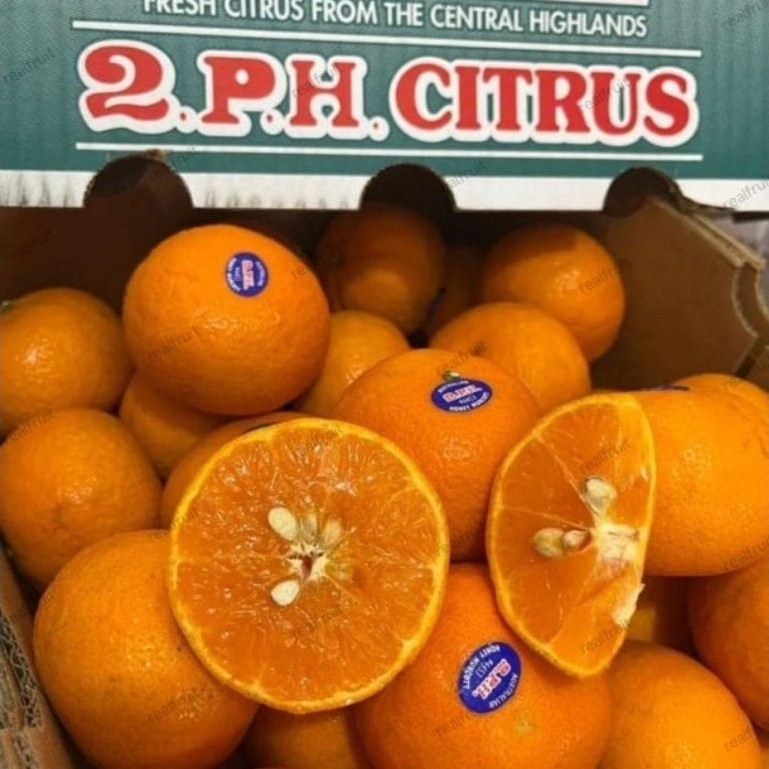 JERUK MURCOT MANDARIN