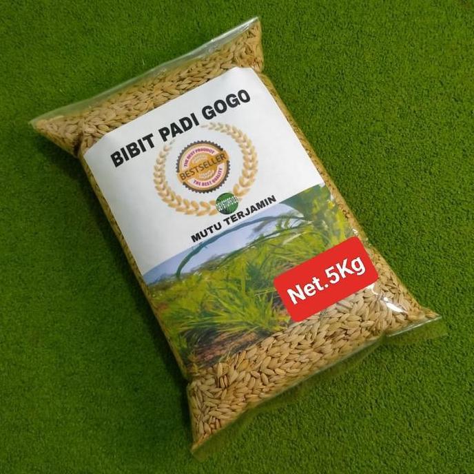 Benih Padi Gogo Bibit Padi Gogo Unggulan Kemasan 5 Kg