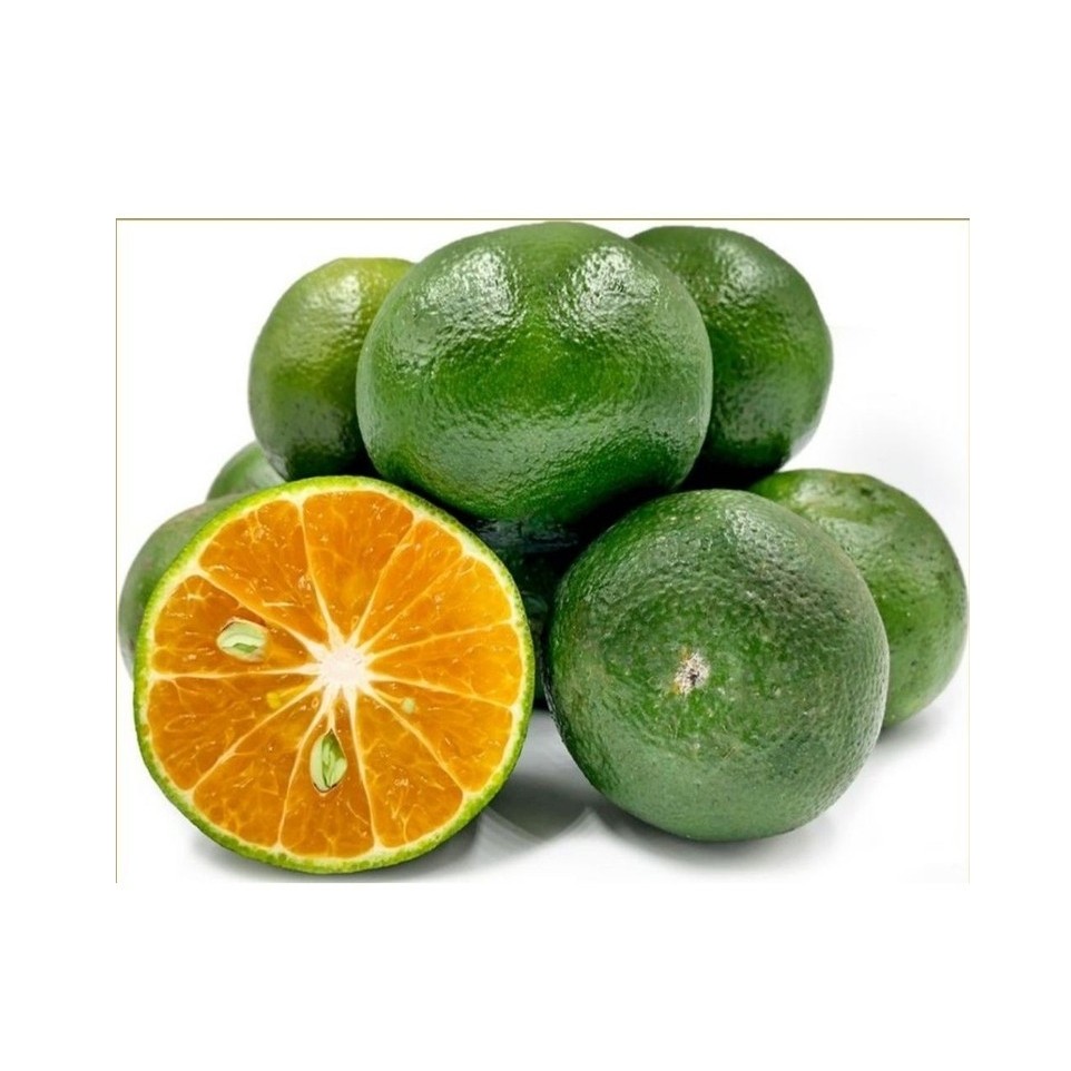 JERUK PERAS MANIS PONTIANAK 1Kg