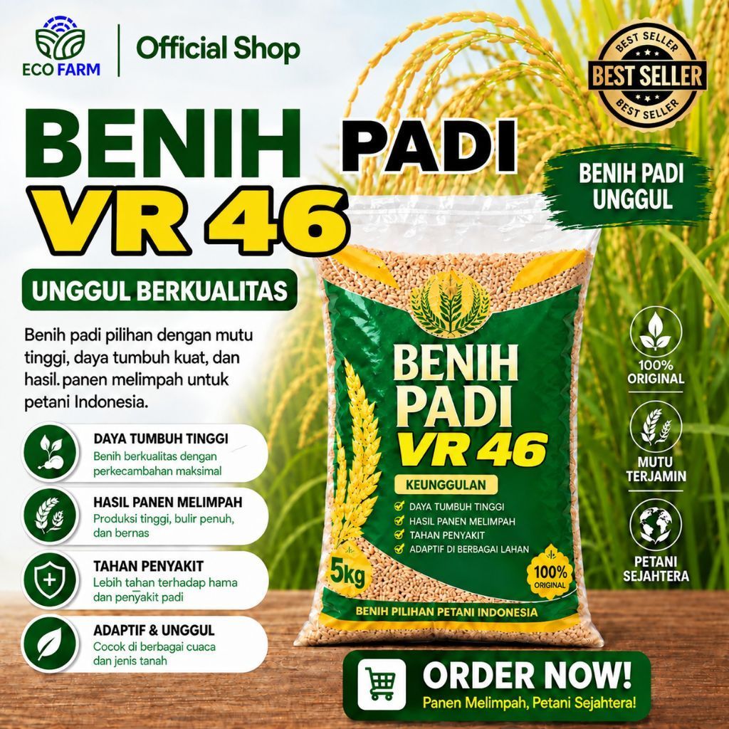 benih padi unggul VR 46