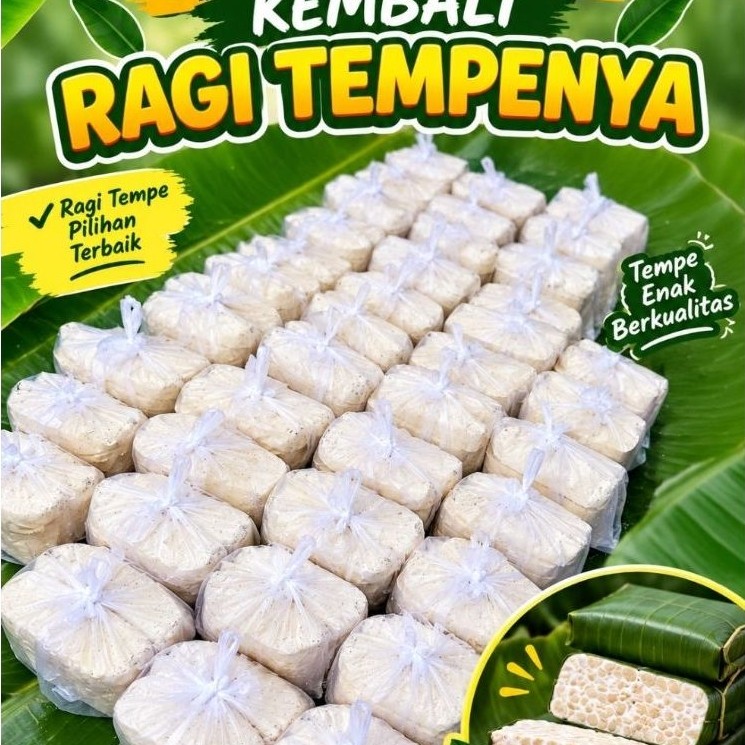 Biang Tempe Ragi tempe Ragi tempe onggok jakarta