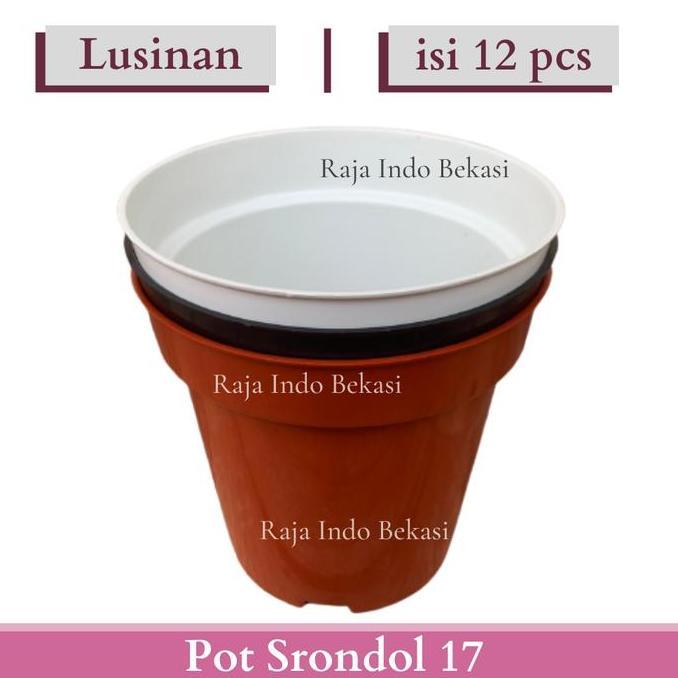 Lusinan isi 12pcs Pot Tinggi Srondol 17 Pot Bunga Tinggi Pot Hias Aglonema