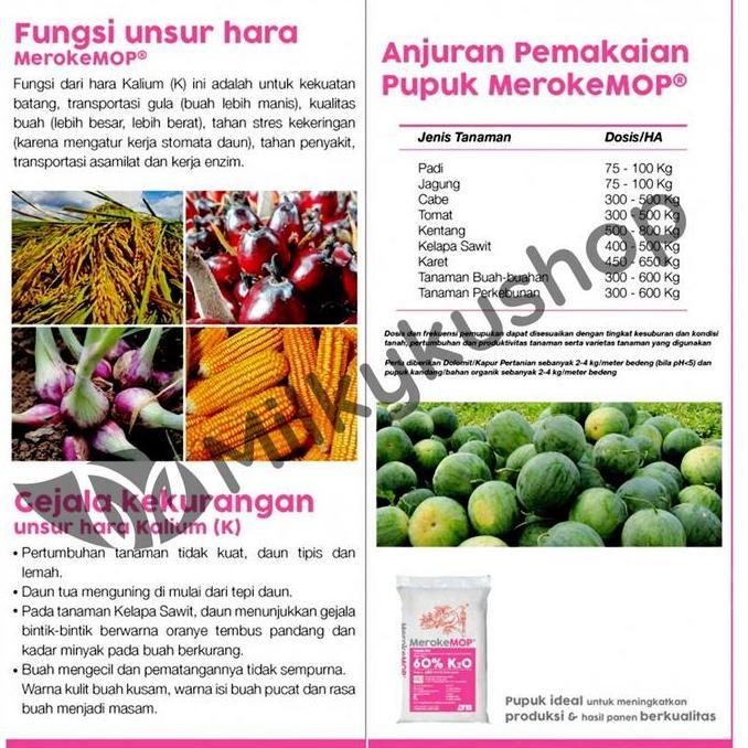 PUPUK MEROKE MOP KCL 50 KG KEMASAN PABRIK VIA CARGO