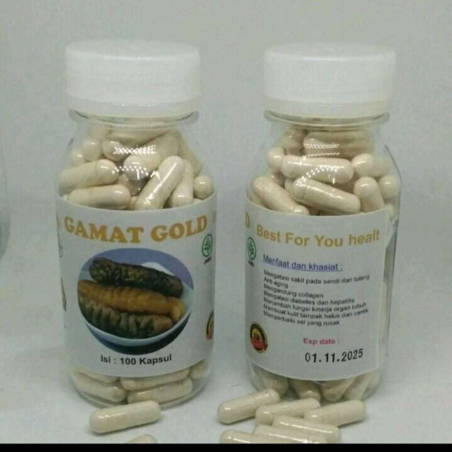 kapsul curah extrak gamat emas nutrisi kekebalan tubuh isi 100