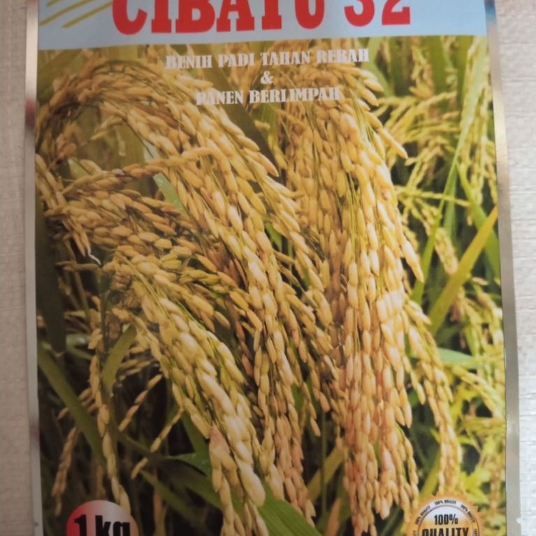 benih Padi Cibatu 32 Premium 1 kg
