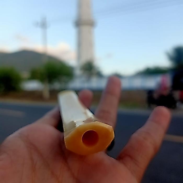 Pipa Once Tulang Iga Duyung Segi 10 Cm Terbaru