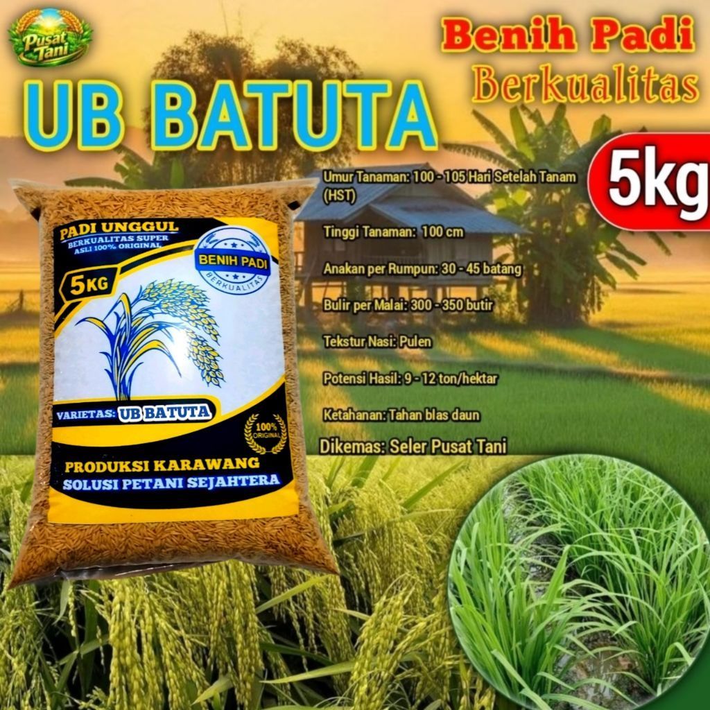 Benih Padi Galur Ub Batuta Kemasan 5kg