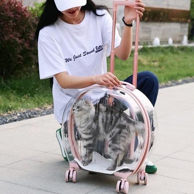 Tas Troli Transparan | Pet Cargo | Tas Anjing Kucing