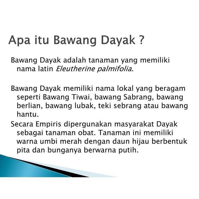 

welcome to tahuan jaya Teh Bawang Dayak Asli Kalimantan Obat Herbal Hipertensi Diabetes dan Kolesterol