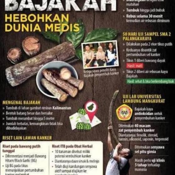 

welcome to tahuan jaya Teh bajakah teh bajakah asli kalimantan akar bajakah kalimantan herbal