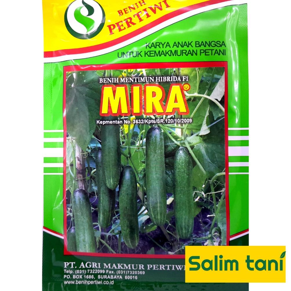 Benih Bibit Timun Hibrida Mira F1 25 Gram Mentimun Hibrida 25Gr Timun Mira 25 Gram Dari Benih Pertiw