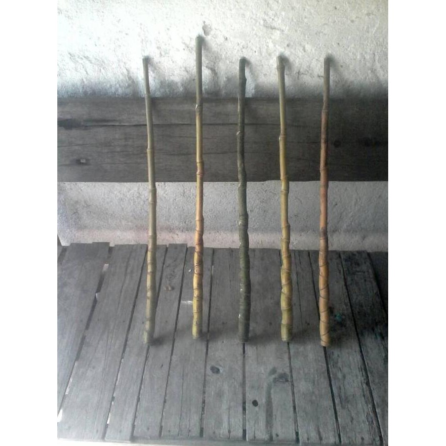 Bambu cendani btg joran pancing.   Jenis :  Sisik naga GM. Original