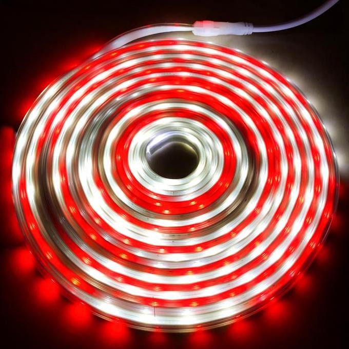 Led Strip Lampu Dekorasi 17 Agustus / Lampu 17 Agustus Merah Putih / Spesial 17 Agustus / Lampu Hias