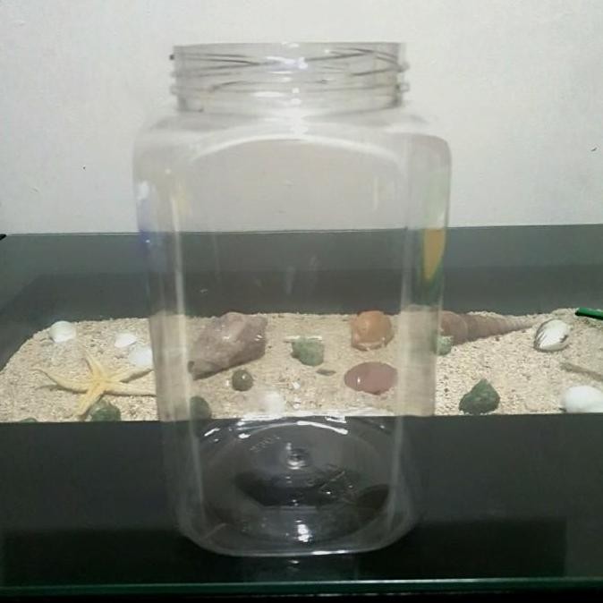 Toples Plastik Ikan Cupang 2 Liter