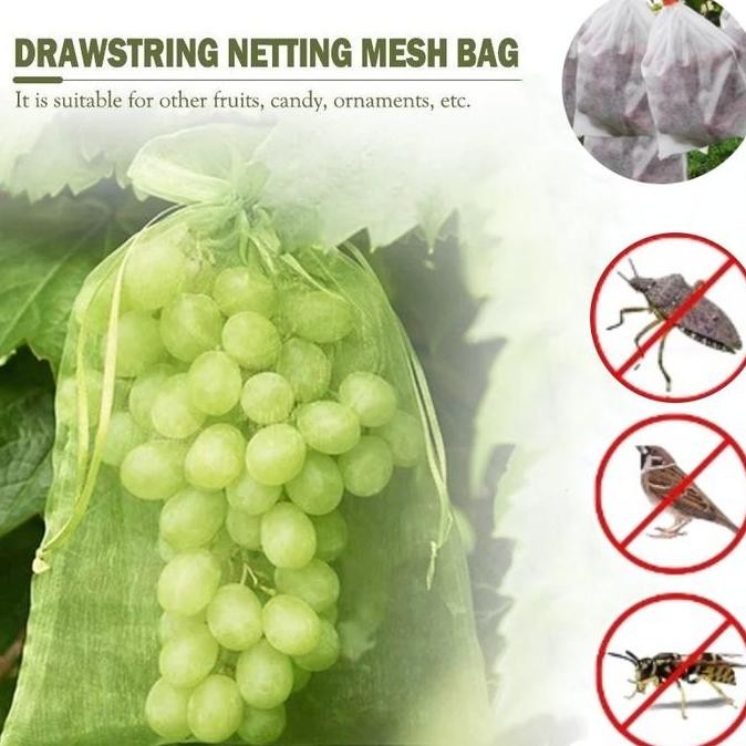 Vinnatsu-100Pcs Kantong Jaring Pembungkus Buah Kantong Jaring Pembungkus Buah Anggur Klengkeng Straw