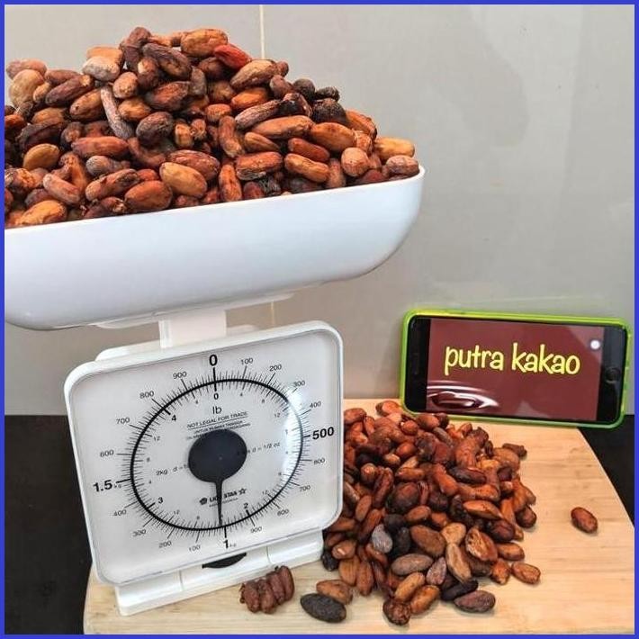 

BIJI KAKAO FERMENTASI , CACAOBEANS FERMENTATION