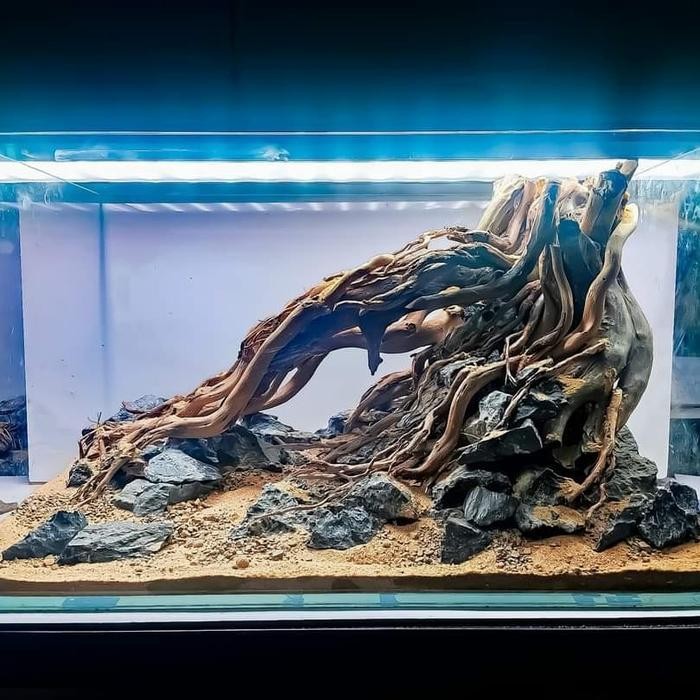 RAS hardscape aquascape 30 cm tank akuarium