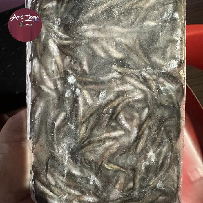 RAS Anakan ikan gabus beku/frozen/pakan arwana dan ikan predator