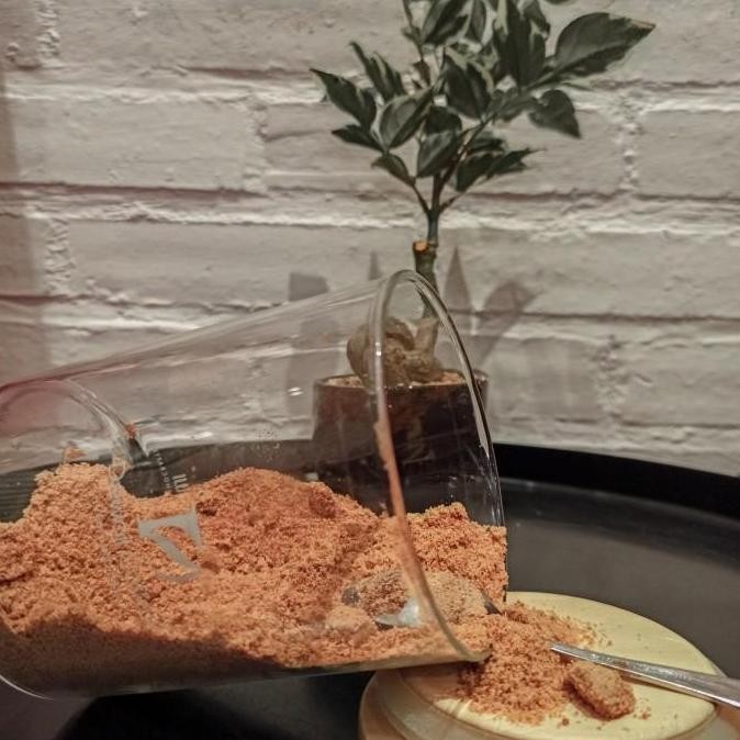 

gula aren semut 1kg organik