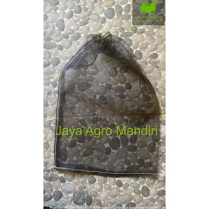 Brongsong Kelengkeng Dengan Tali di Pohon Ukuran 35x55 cm Lengkap Tali Brongsong Matoah Klengkeng