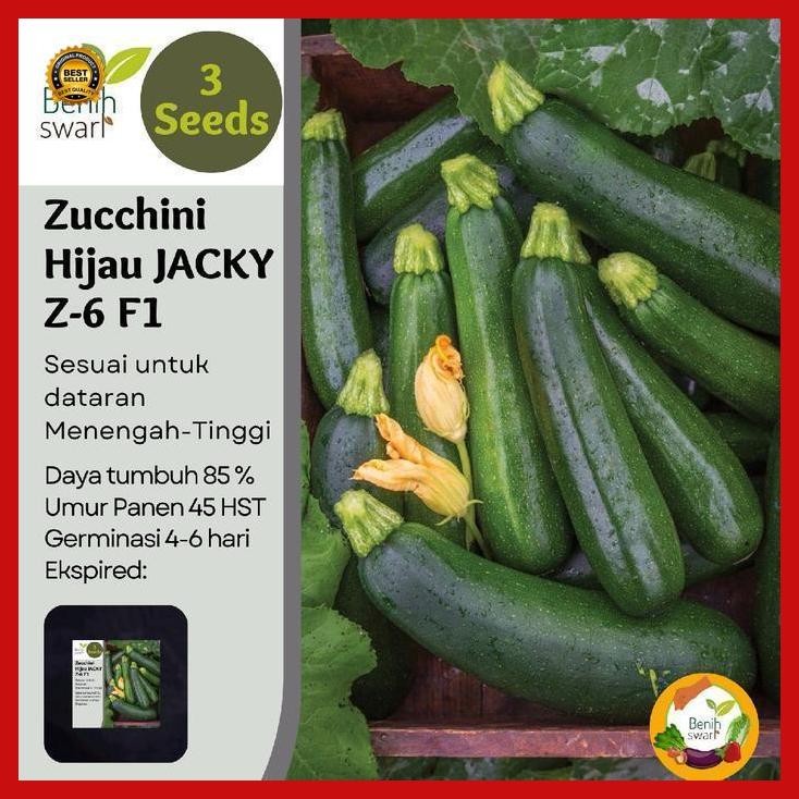 (Best Saller) Isi 3 Butir Benih Zucchini Hijau Jacky Z-6 F1 Bestseller