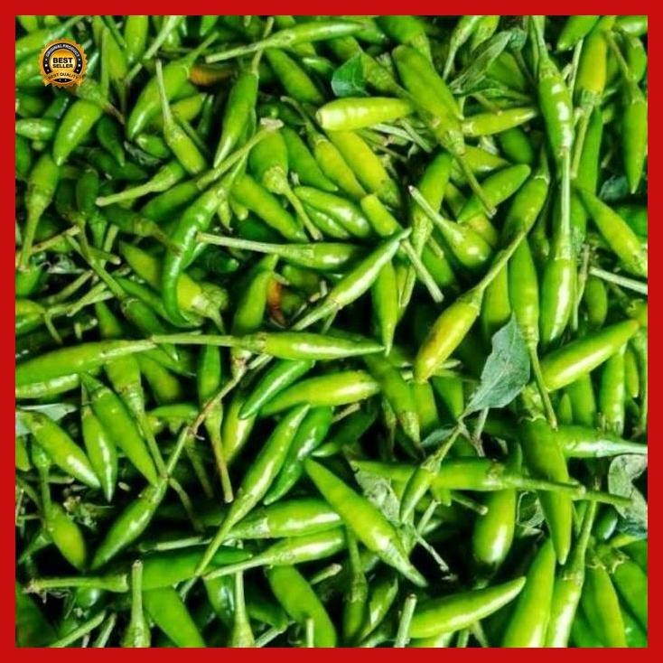 

(Ready) 35 Benih Cabe Rawit Hijau Cabe Ijo Bestseller