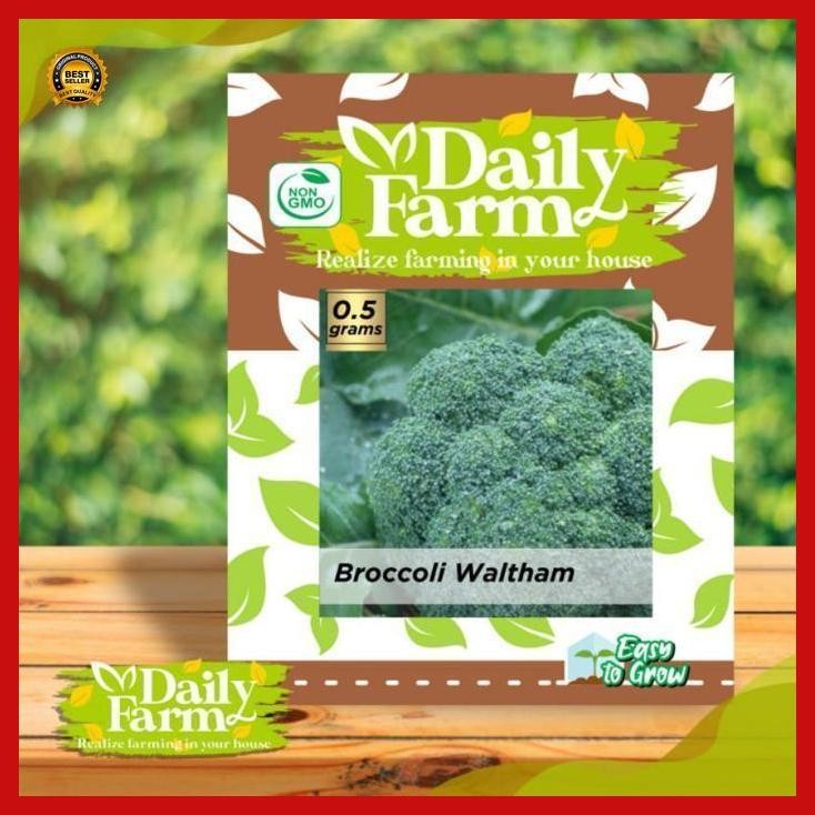 

(Terbaru) Df Benih Brokoli Broccoli Waltham 0.5 Gram Green Brocoli Brokoli Hijau Daily Farm Bestseller