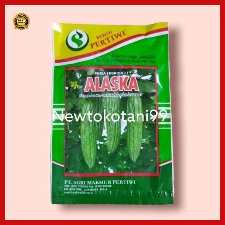 (Promo) Benih Paria Alaska F1 10 Gram Pare Hibrida Alaska Dari Benih Pertiwi Bestseller