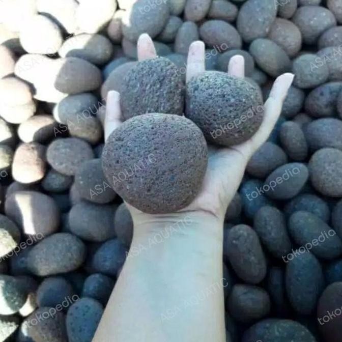 Batu Hitam Bulat Batu Lava Batu Kali Hiasan Aquarium Aquascape