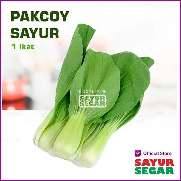 

STOCK READY PAKCOY / POKCOY / PAK COY SAYUR [1 IKAT] FRESH TERBARU