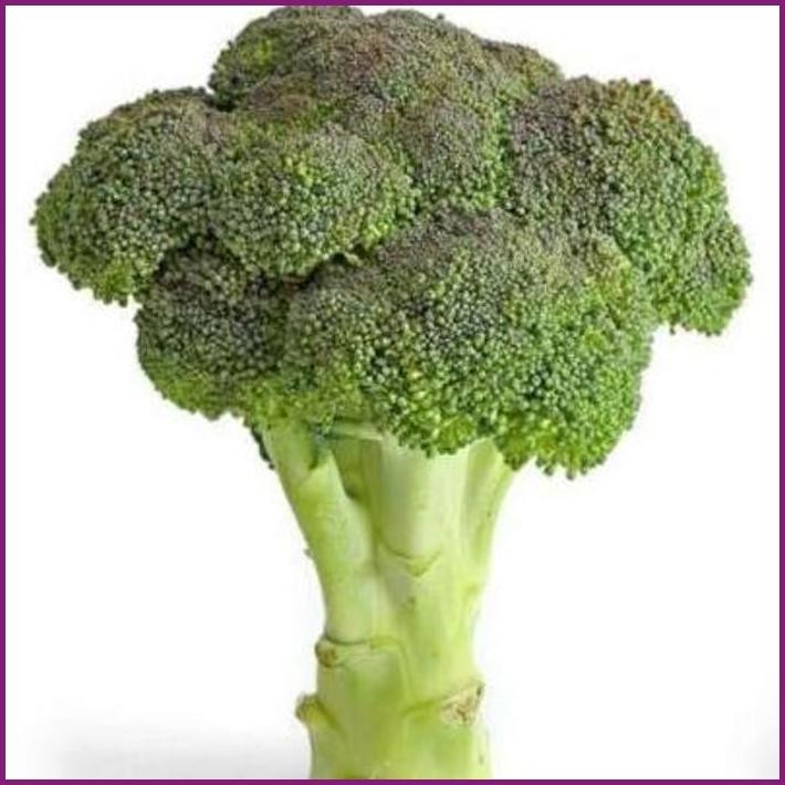 

STOCK READY BROKOLI LOKAL FRESH DARI KEBUN TERBARU