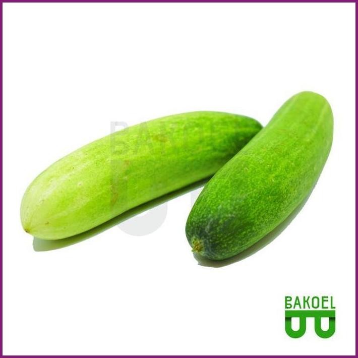 

STOCK READY TIMUN (HARGA PER PCS) @170GR TERBARU