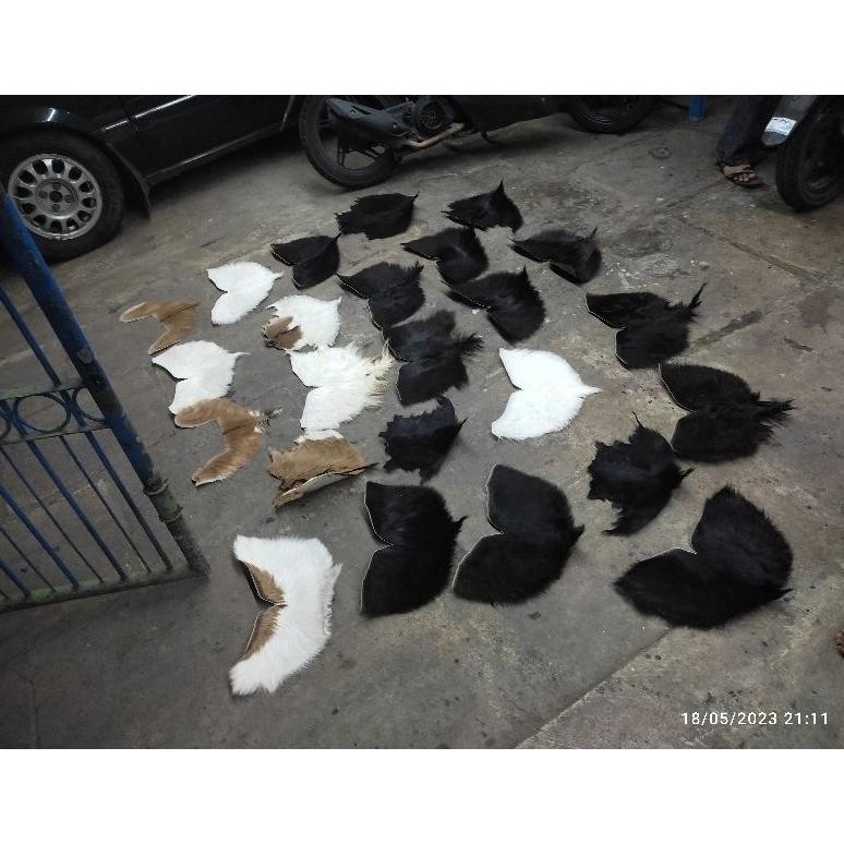 Kuke Simbar Barongan Simbar Jambul Simbar Bajang Nt-137