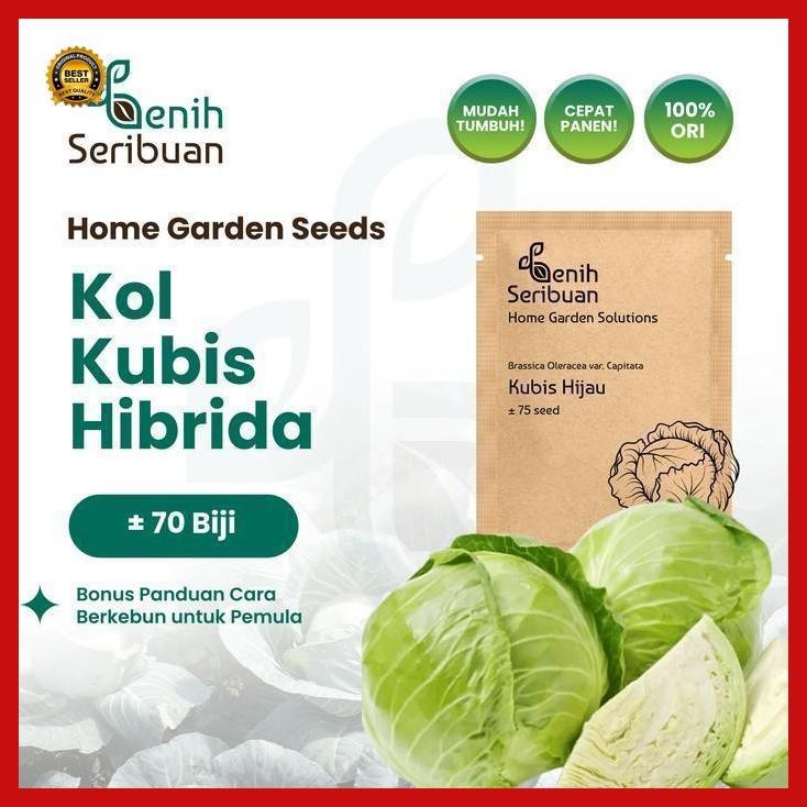 

(Terbaru) Benih Kol Kubis Hijau F1 - Benih Sayuran Seribuan Bestseller