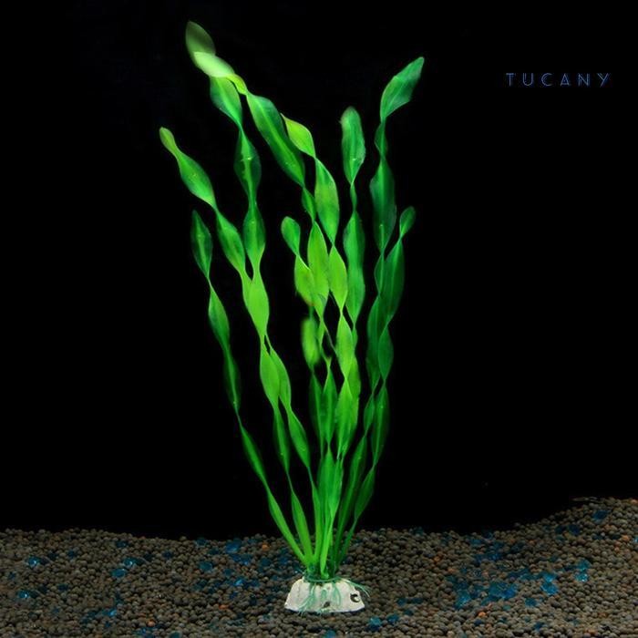 RA Tanaman Panjang Aquarium, tanaman aquarium panjang, ornamen aquarium tanaman panjang, tanaman aqu