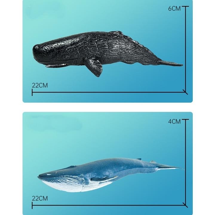 Special Mainan Binatang Laut Karet Figure Hewan Laut Sea Animal Model Toys Koleksi Bahan Pvc Shark P