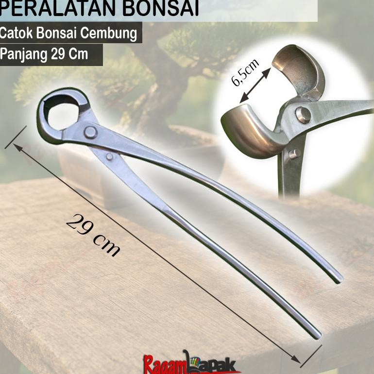 Catok Bonsai Bulat / Catok Bonsai Cembung Catok Bonsai Cembung Knob Cutter 29 cm | Full Stainless St