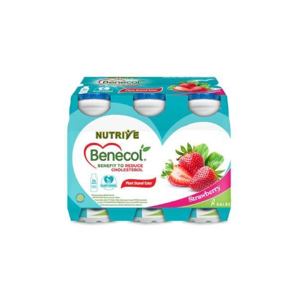 

SNS NUTRIVE BENECOL STRAWBERRY NO ADD SUGAR 6X100ML
