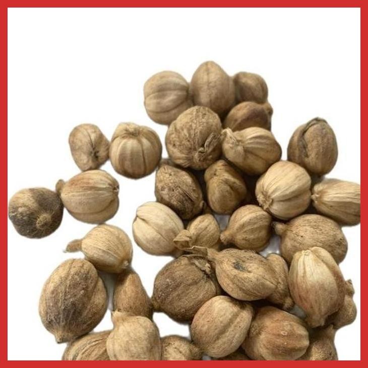 

READY KAPULAGA KERING 1 KG | SIJUNJUNG / SUMATERA BARAT [BUMBU OLAHAN MAKANAN]