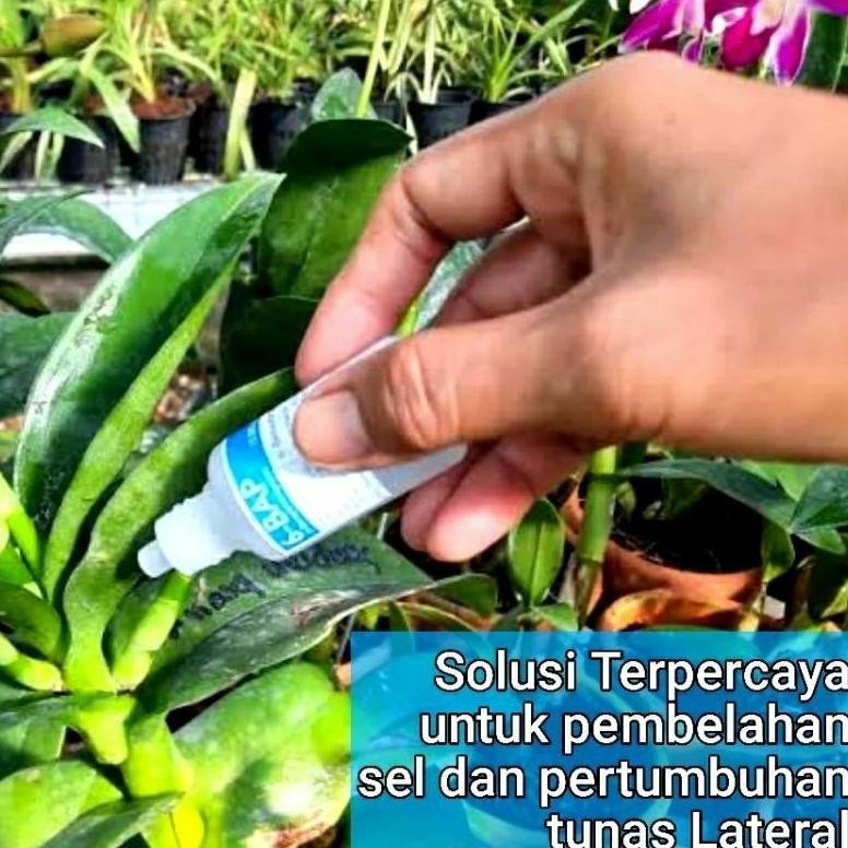 Promo Cod Hormon, Boster, Pupuk, Anggrek 6-Bap Benzyl Amino Purin 10.000 Ppm 30 Ml Botol Biru ...