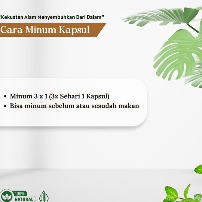 

New Teh Celup Herbal Akar Alang-Alang Ranjana Herbal Untuk Kesehatan Ginjal Cuci Darah Kemih Prostat Kencing Netes Berbusa