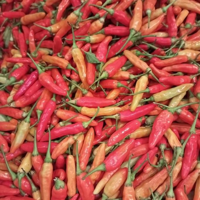 New Cabe rawit merah super ( 1 kg ) - ( 1/2 kg ) - ( 1/4 kg )