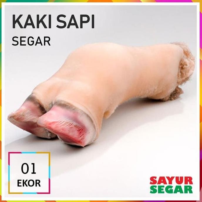 Kaki Sapi Segar [1 Ekor] Fresh Halal